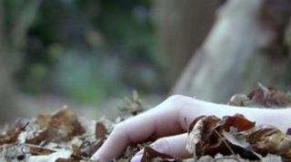 Bakı-Qazax yolunda qadın meyiti tapıldı