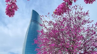 Martın ilk gününə olan hava proqnozu 