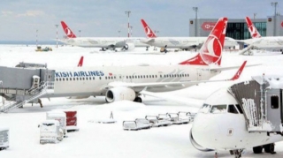 "Турецкие авиалинии" отменили 279 рейсов