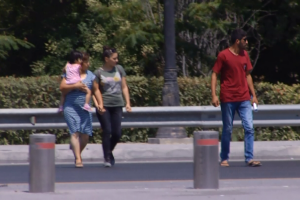 Yolun hər iki tərəfində dayanacaq var, ancaq piyada keçidi yoxdur - VİDEO