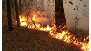 Ağsuda dağlıq ərazidə yanğın başlayıb