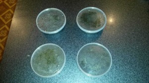 Avtomobildən gizlədilmiş mallar aşkar edilib - FOTO