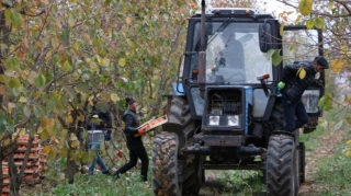 Azərbaycanda fermerləri və sürücüləri gözləyən ortaq problem - FOTO