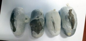 Heroin gətirən İran vətəndaşı saxlanılıb - FOTO