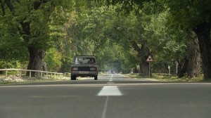 Qəbələdə 37 km uzunluğa malik 2 avtomobil yolu yenidən qurulub