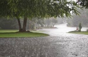 Bu günə olan hava proqnozu