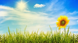 Прогноз погоды в Азербайджане на август