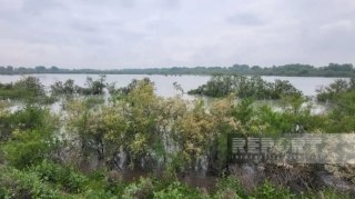 İmişlidə Kürün səviyyəsi qalxdı: Yüzlərlə hektar torpaq SU ALTINDA QALDI - FOTO 
