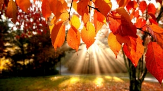 Sabah 18 dərəcə isti olacaq - PROQNOZ 