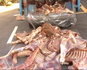 Yük avtomobilindən 1 ton ət aşkarlandı - Daşkəsəndə