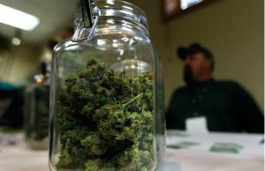 Böyük Britaniyada marixuana tibbi vasitə kimi istifadə oluna bilər