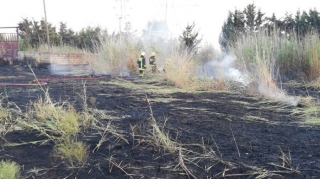 Sumqayıtda otluq sahədə yanğın olub - FOTO 