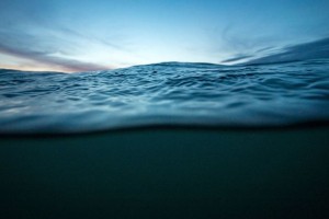 Elmə məlum olmayan məxluq tapılıb - VİDEO