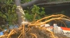 "Qaya" siklonu 33 nəfərin həyatına son qoyub