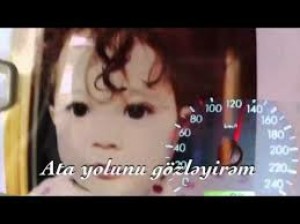 Sürətinizin həddini, ailənizin qədrini bilin! - DYP-dən daha bir VİDEO