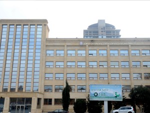 Avtomobillərdə qanunsuz yolla əldə edilmiş meşə materialları aşkar edilib