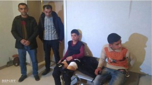 Lənkəranda canavar yeniyetmələrə hücum edərək xəsarət yetirib - FOTO