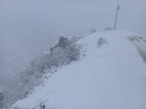 Lerikin yuxarı ərazilərində qar fəsadlar törədib – FOTO