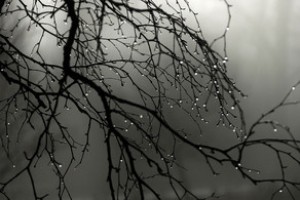 Bakıda intensiv yağış yağacaq - XƏBƏRDARLIQ   