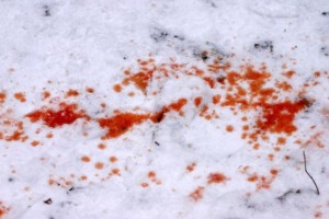 Küçənin ortasında 10 yaşlı uşaq amansızlıqla qətlə yetirildi – VİDEO