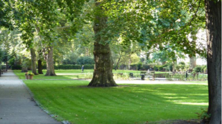Bakıda yeni park salınır 