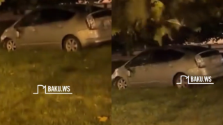 Yuxulu "Prius" sürücüsü avtomobilini "Qış Parkı"na saldı  - VİDEO