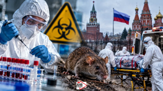 Rusiyada yayılan virus NƏDİR?  - Bu ölkə hərəkətə keçdi 
