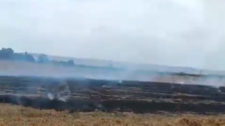 Bölgələrdə yanğına səbəb olan 3 nəfər məsuliyyətə cəlb olunub - FOTO 