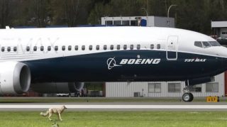 Boeing 737 MAX təyyarələrinin proqram təminatında nasazlıq aşkarlandı 