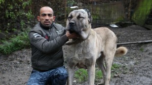 Azərbaycanlı Türkiyədən avtomobil qiymətinə it aldı