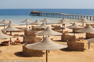 Çexiya vətəndaşını köpək balığı parçalayıb - Misirdə