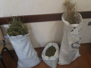 Külli miqdarda narkotik vasitə dövriyyədən çıxarılıb - FOTO