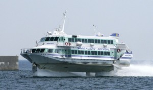 Sürətli bərə balina ilə toqquşdu: 87 yaralı