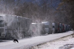 Rusiya-Gürcüstan sərhədində avtomobillərin hərəkətində problem yaranıb