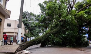 Güclü yağışlar 12 nəfərin həyatına son qoyub - FOTO