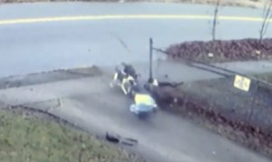 4 küçə iti yaşlı qadını yerə yıxıb didişdirdi – VİDEO