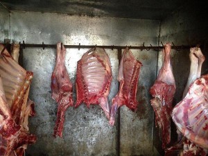 DİQQƏT: Bu ərazilərdə at əti satılır