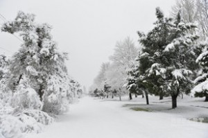 Səhərədək müşahidə olunmuş faktiki hava AÇIQLANIB