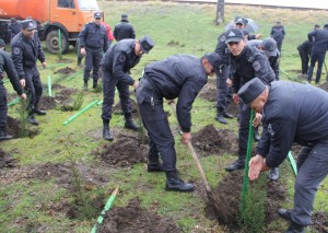 Ağacəkmə aksiyasında Lənkəran polisi də fəallığını nümayiş etdirdi  - FOTO