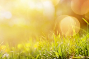 Bu günə olan hava proqnozu açıqlanıb