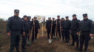 Ağsuda polislər tut ağacı əkdilər  - FOTO