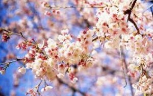 Bu günə olan hava proqnozu AÇIQLANDI