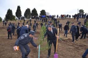 Ağacəkmə aksiyasına Gəncə polisi də qoşulub