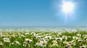 Bazar günü Azərbaycanda hava şəraiti sabit olacaq