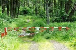 Meşələrin qorunmasında yenilik: Şlaqbaum, kamera... - VİDEO