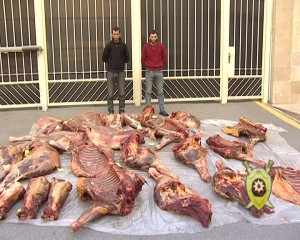 Xəstə və yaşlı at ətini satmaq istəyən şəxslər saxlanıldı - FOTO