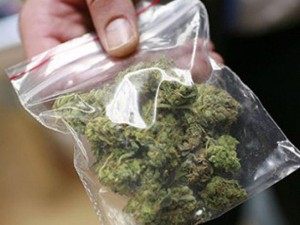 Maşınla Azərbaycana narkotik keçirmək istədi - İtə yaxalandı