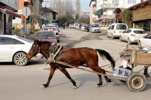 Saatlıda “Qazel” at arabasını vurub, xəsarət alan var