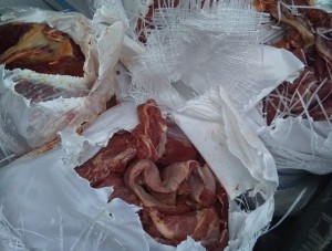 Qax və Zaqatalada heyvan cəmdəkləri aşkarlanıb - FOTO