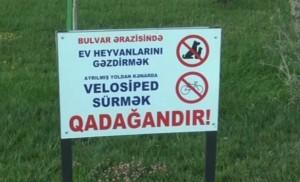 Ev heyvanlarını gəzdirmək və velosiped sürmək QADAĞANDIR! - VİDEO